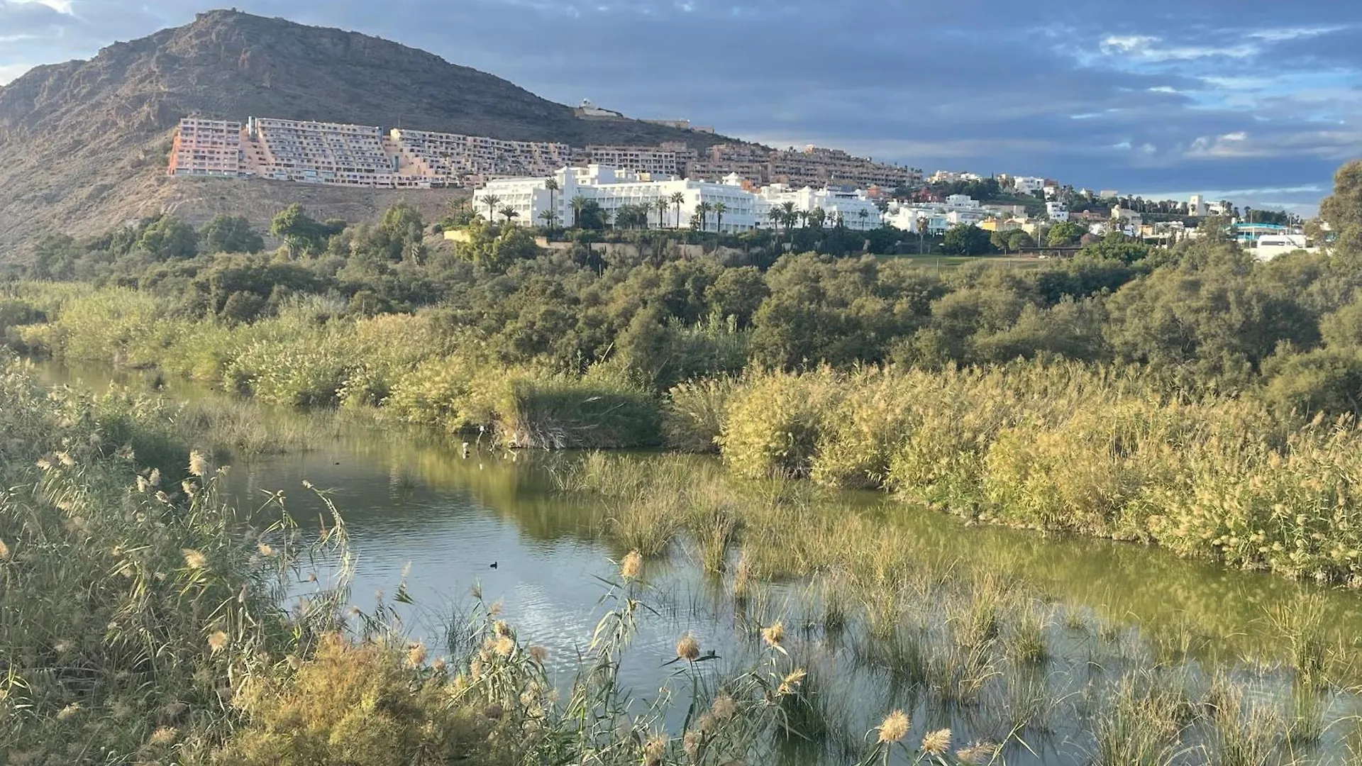 Colibri Apartamentos Vista Mar Mojacar Spain